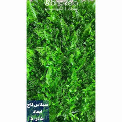 گرینوال سیکاس کاج