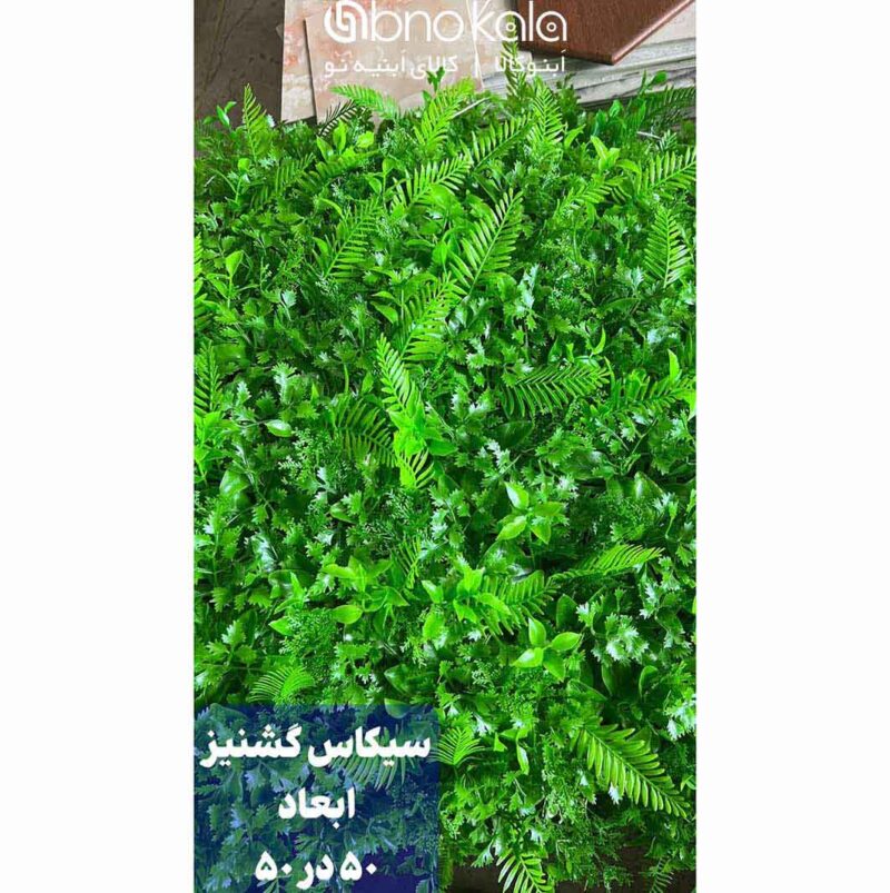 گرینوال سیکاس گشنیز
