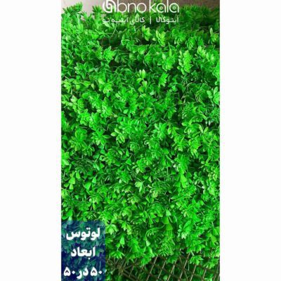 گرینوال کاج لوتوس