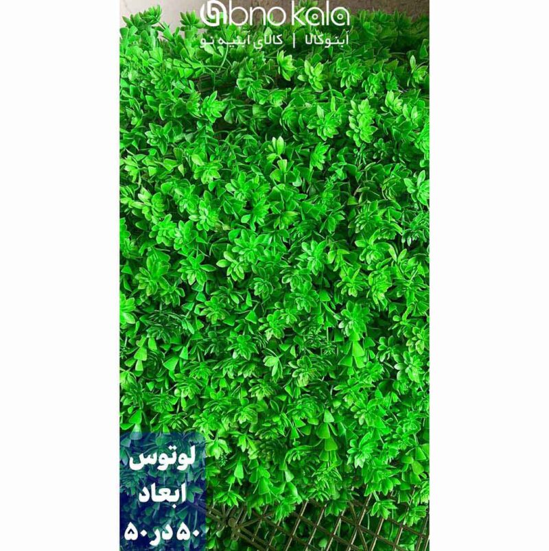 گرینوال کاج لوتوس