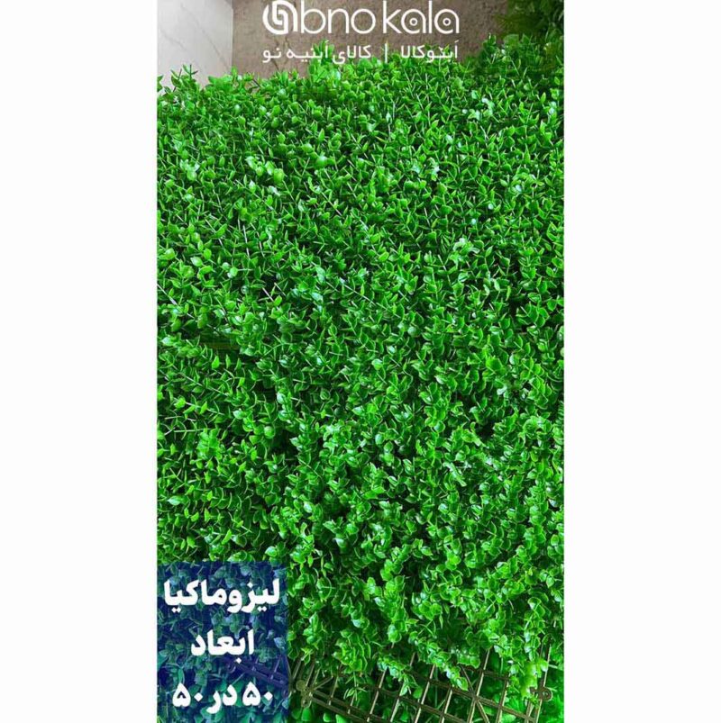 گرینوال لیزوماکیا