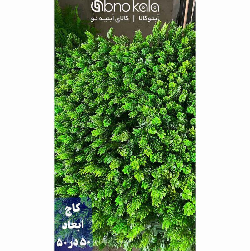 گرینوال کاج ژاپنی دیوار سبز