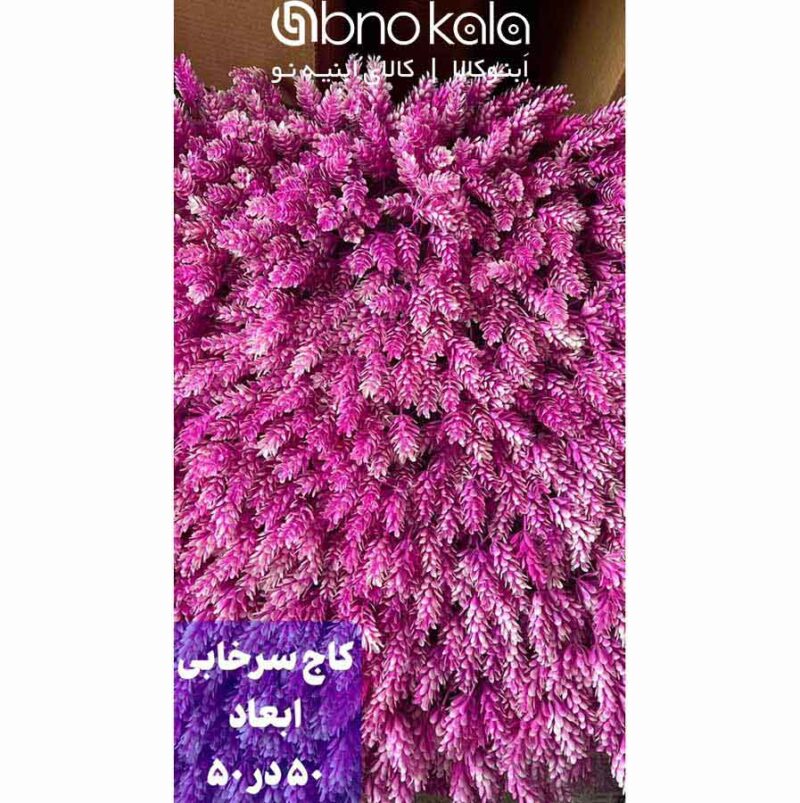 گرینوال کاج ژاپنی سرخابی دیوار سبز