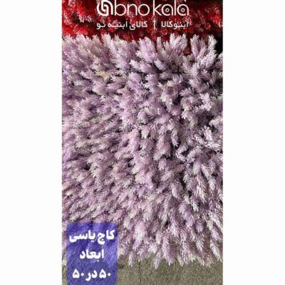 گرینوال کاج ژاپنی یاسی